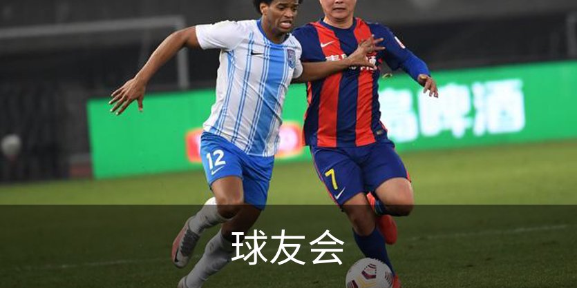 球友会简介